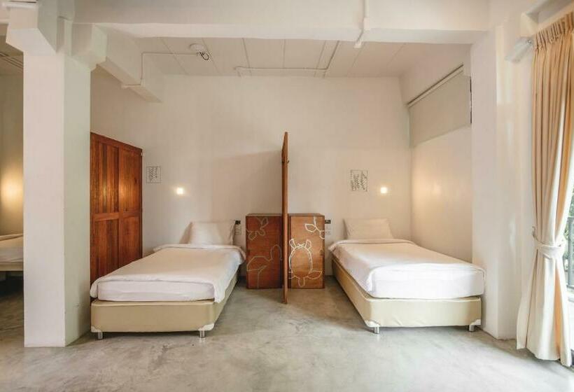 ルームシェアのワンベッド, The Dearly Koh Tao Hostel Padi 5 Star Dive Resort