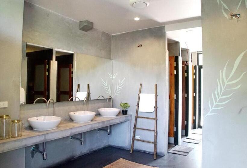 ルームシェアのワンベッド, The Dearly Koh Tao Hostel Padi 5 Star Dive Resort