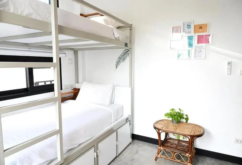 ルームシェアのワンベッド, The Dearly Koh Tao Hostel Padi 5 Star Dive Resort