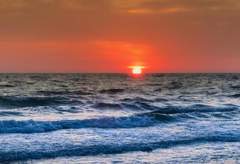 ２ベッドルームアパートメント, Captain S Cove #207