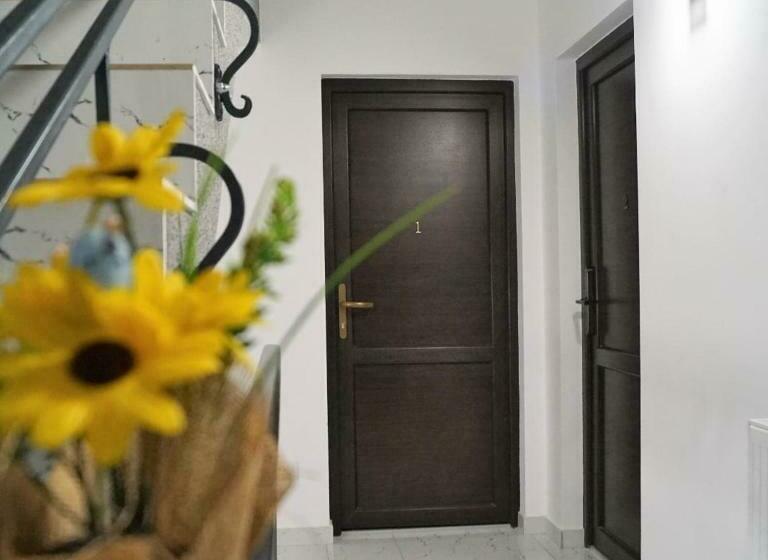 스탠다드 스튜디오, Central View Craiova 3