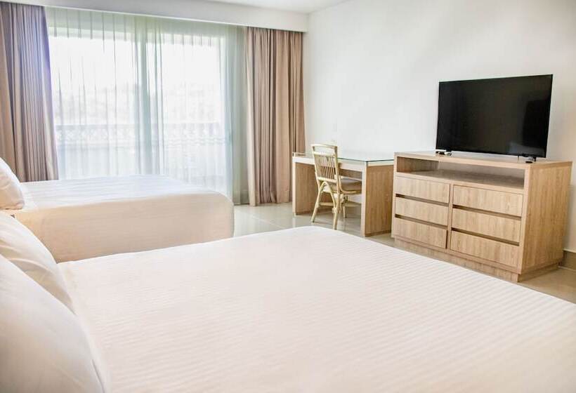 四人高级间, Campestre Las Camelias