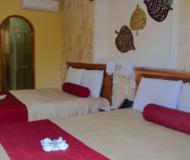 سوییت جونیور, Cancun International By Zeiva