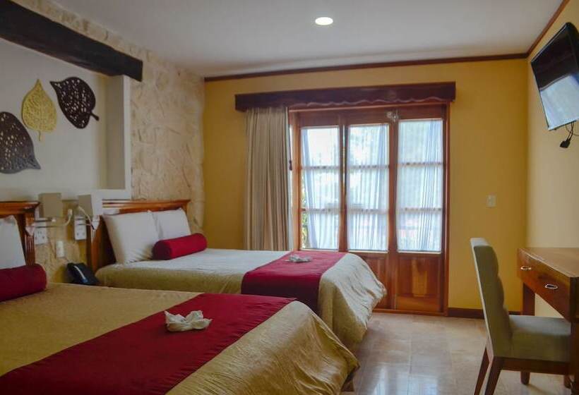 سوییت جونیور, Cancun International By Zeiva