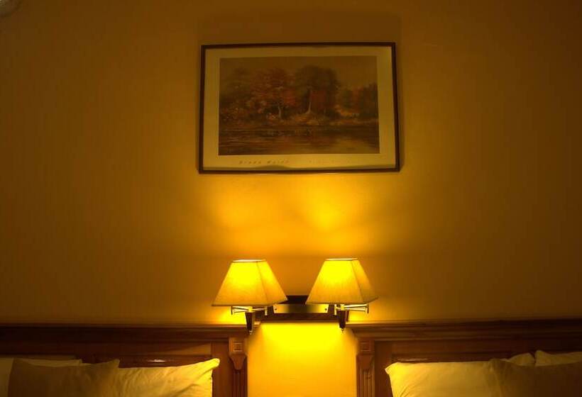 سوییت جونیور, Cancun International By Zeiva