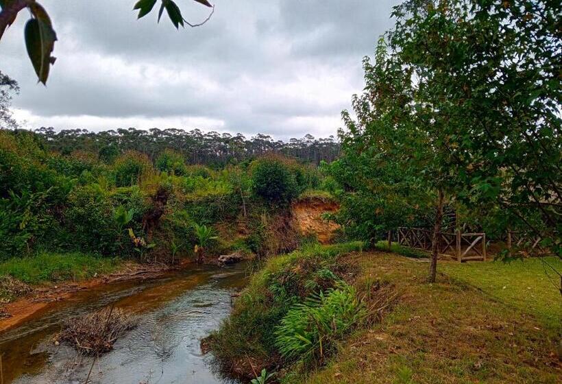 Familj Bungalow, Andasibe Sifaka Lodge