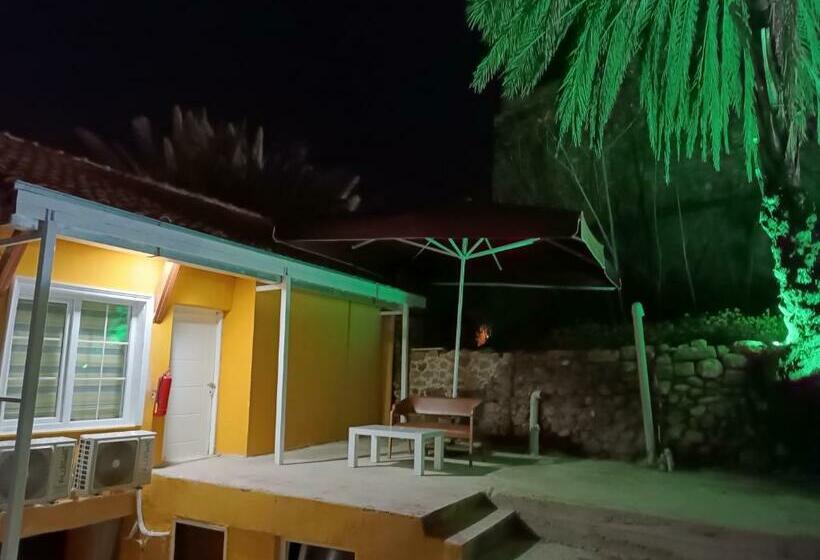 标准间, Tag Pansiyon