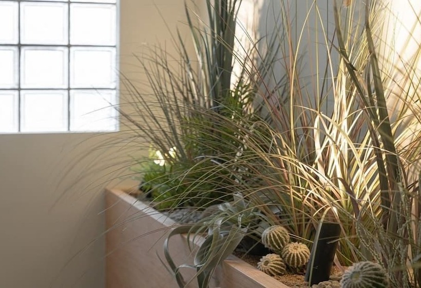 スイート, Siheung Brown Dot Jeongwang