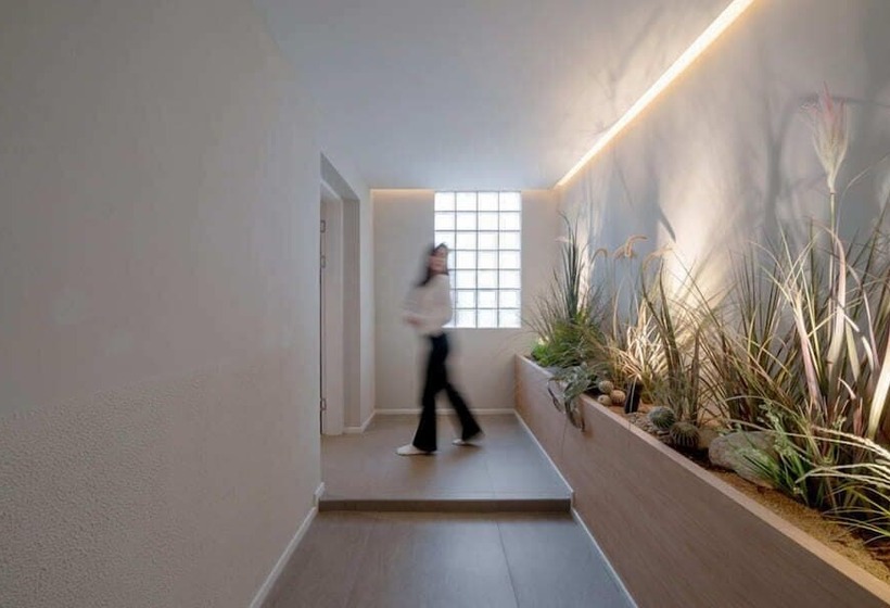 スイート, Siheung Brown Dot Jeongwang