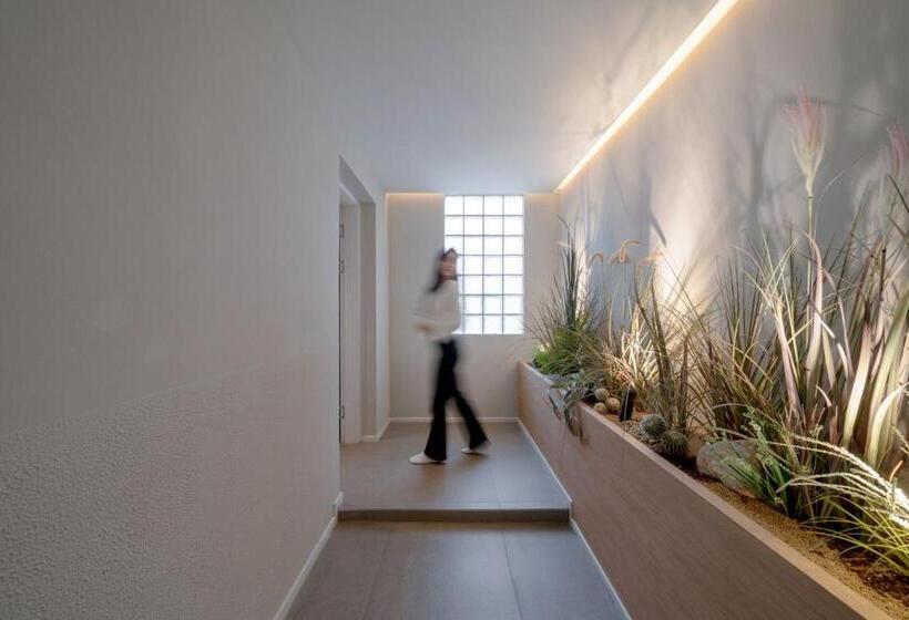 スイート, Siheung Brown Dot Jeongwang