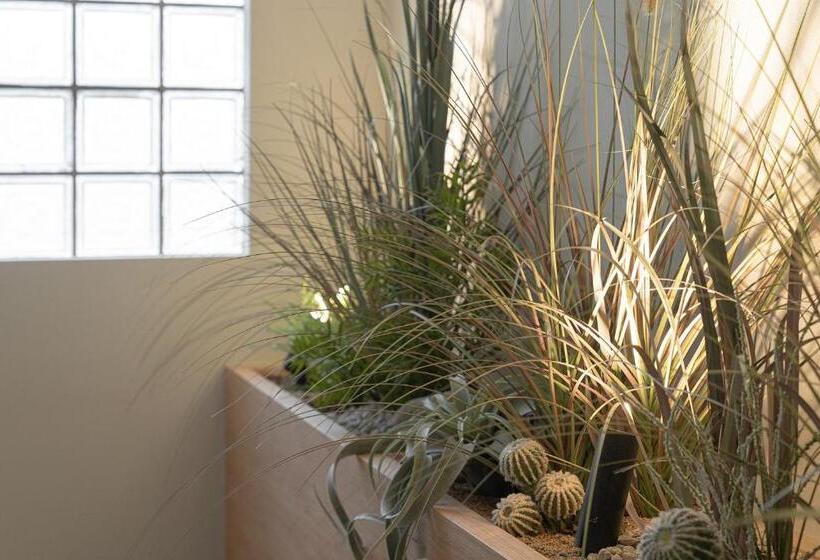 スイート, Siheung Brown Dot Jeongwang