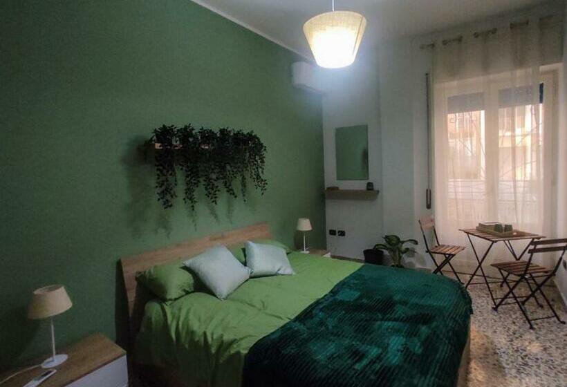 标准间, Ament S B&b