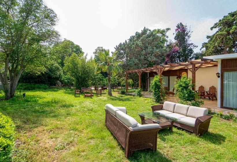 ファミリールーム, Bona Me Yalıkavak