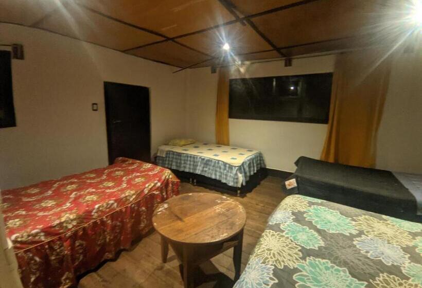 اتاق خانوادگی, La Casa De Mamá