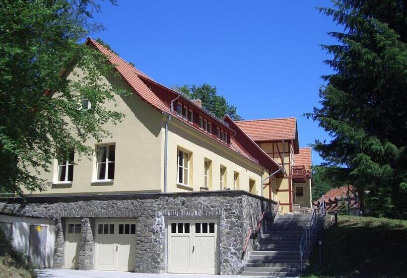 غرفة قياسية, Habichtstein