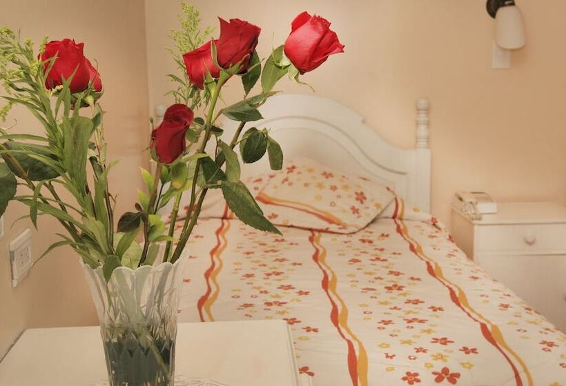 Superior-Zimmer, Interamericano