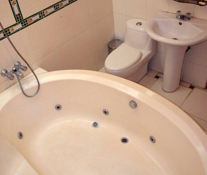 اتاق استاندارد با وان آب گرم, Le Saint Etienne