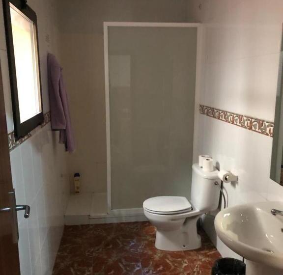 Номер Стандарт, Manises