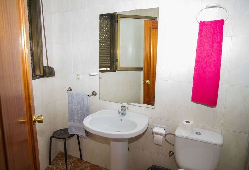 Номер Стандарт, Manises