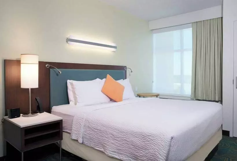 スイート, Springhill Suites By Marriott Orlando At Flamingo Crossings Town Center Western Entrance