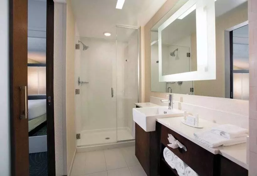 景色の見えるスイートルーム, Springhill Suites By Marriott Orlando At Flamingo Crossings Town Center Western Entrance