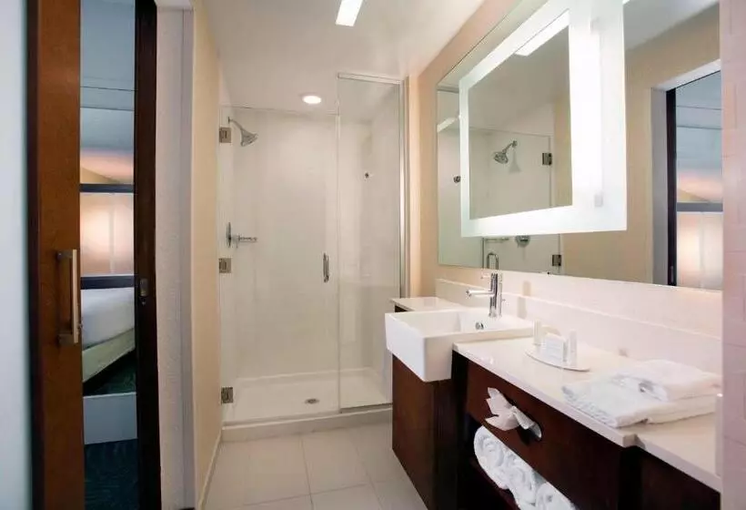 キングサイズベッドのスイートルーム, Springhill Suites By Marriott Orlando At Flamingo Crossings Town Center Western Entrance