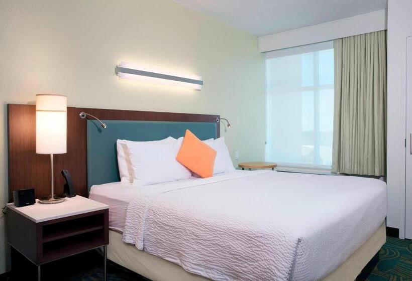 带大床的套房, Springhill Suites By Marriott Orlando At Flamingo Crossings Town Center Western Entrance