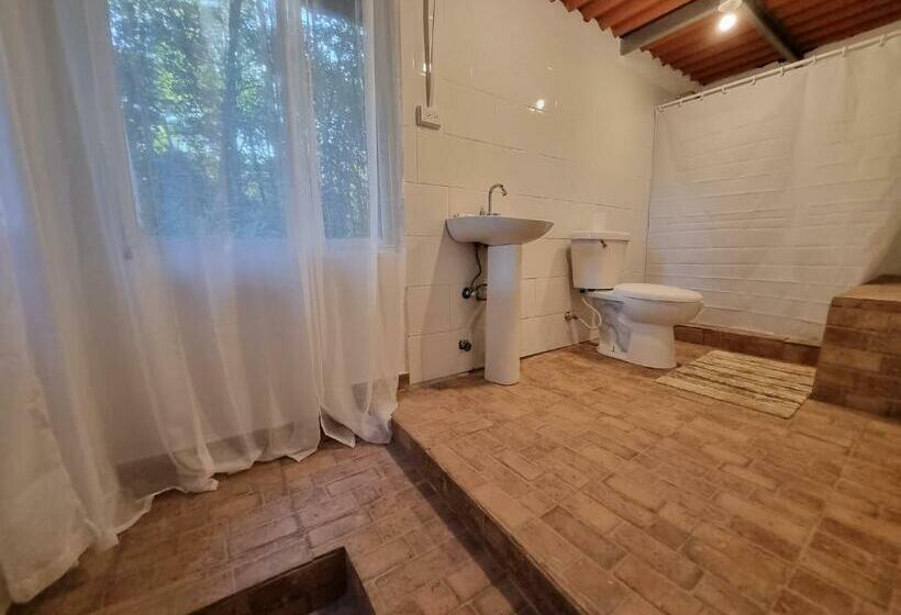 חדר סטנדרט, Olp Treehouse Cerro Azul