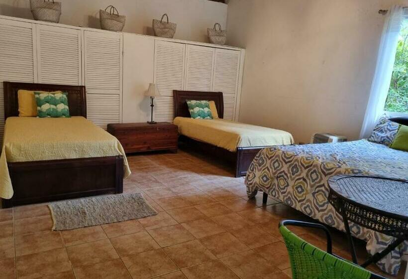 חדר סטנדרט לשלושה, Olp Treehouse Cerro Azul