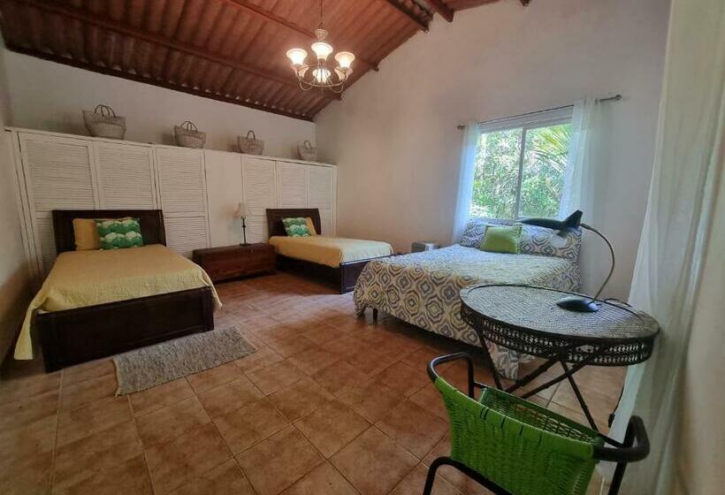 חדר סטנדרט לשלושה, Olp Treehouse Cerro Azul