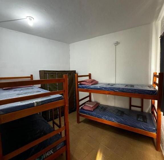 اتاق استاندارد یک تخته با سرویس بهداشتی مشترک, Hostel Del Sol