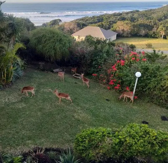 Perhehuone, Cove Rock Stay
