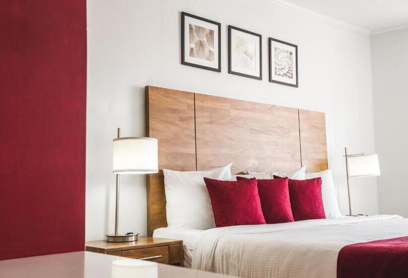 سوییت با چشمانداز دریا, City Suites & Beach