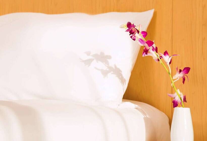 اتاق استاندارد, Ibis One Central   World Trade Centre Dubai