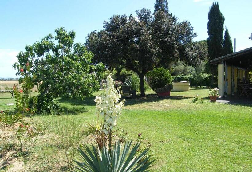 家庭间, Casolare Casa Ricci