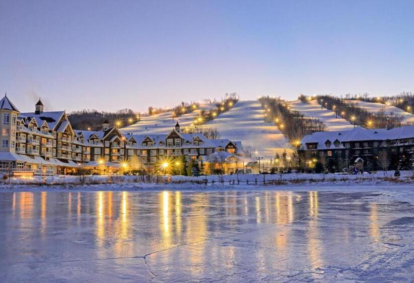 스탠다드 스튜디오, Condo 503 At North Creek Resort