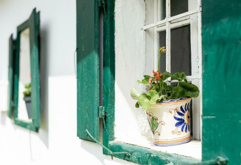 منزل غرفة نوم واحدة, ❤einzigartiges Hof Areal Südsteiermark❤