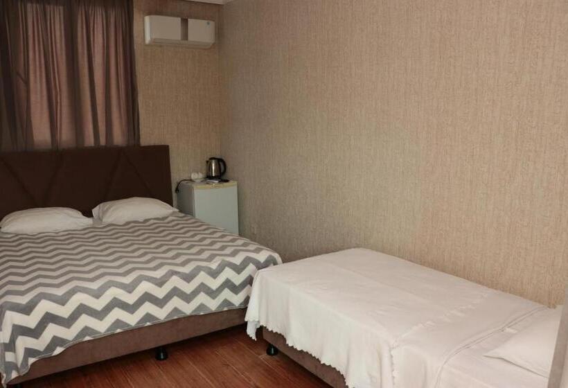 اتاق استاندارد سه نفره, Smile