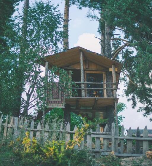 اتاق اکونومی, Heshkili Huts Svaneti
