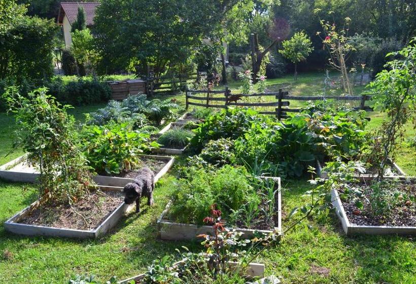 침실 1개 가든 전망 아파트, Le Paradis Des Animaux