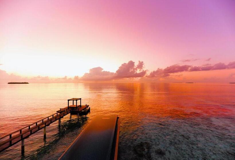 ویلای لوکس 1 خوابه, Angsana Velavaru In Ocean Villas   All Inclusive Select With 20 Percent Off On Return Sea Plane Tran