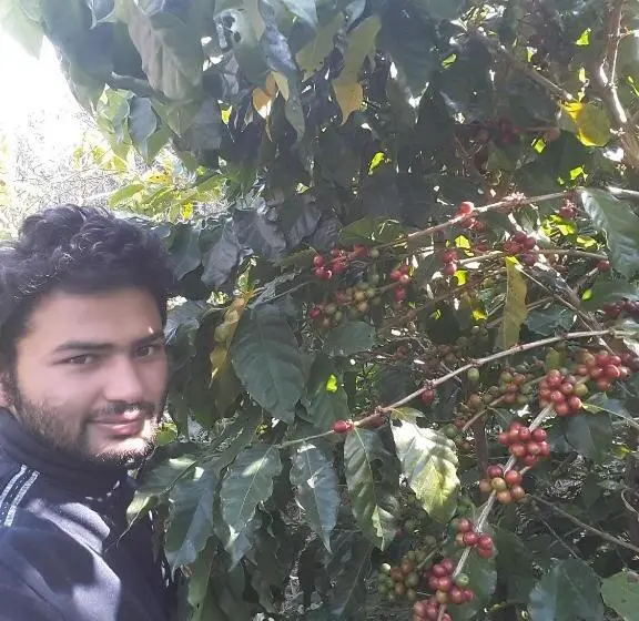 اتاق استاندارد, Begnas Coffee House &