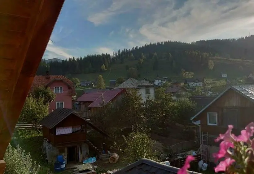 スイート, Casa Viorica și Luis