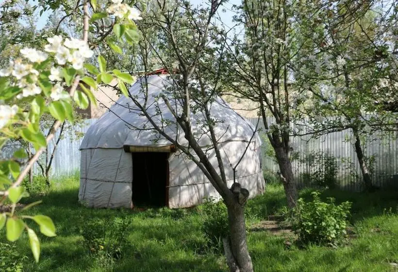 اتاق استاندارد, Hostel Nice