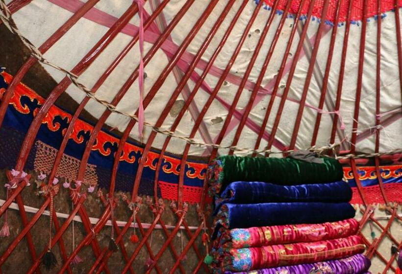 اتاق استاندارد, Hostel Nice