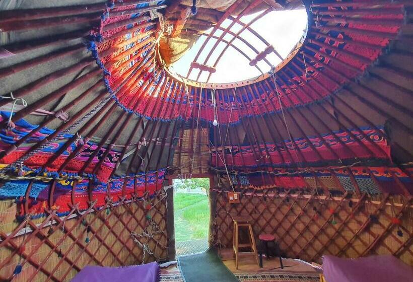 اتاق استاندارد, Hostel Nice