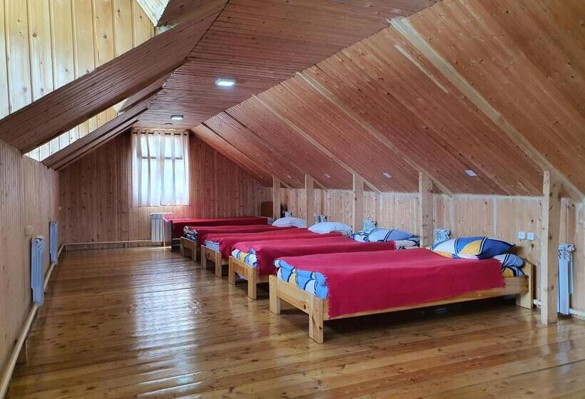 اتاق استاندارد چهار تخته, Hostel Nice