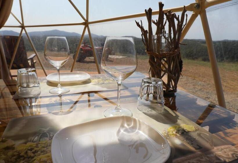בקתת סופריור בת חדר 1, Glamping Il Sole
