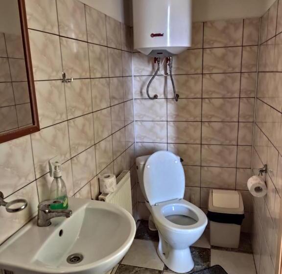 اتاق استاندارد سه نفره, Ludza