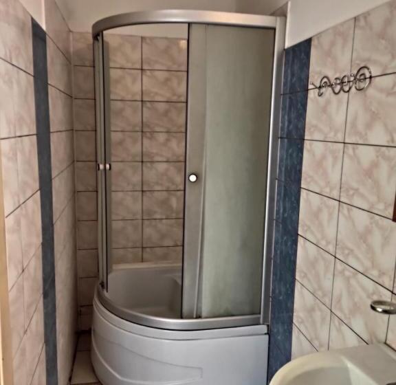 اتاق استاندارد سه نفره, Ludza
